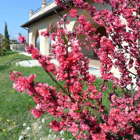 Agriturismo Alla Solagna