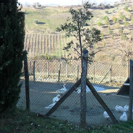 Gospodarstwo agroturystyczne Solagna