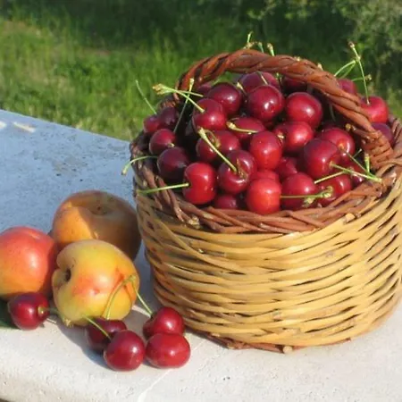 Gospodarstwo agroturystyczne Solagna *